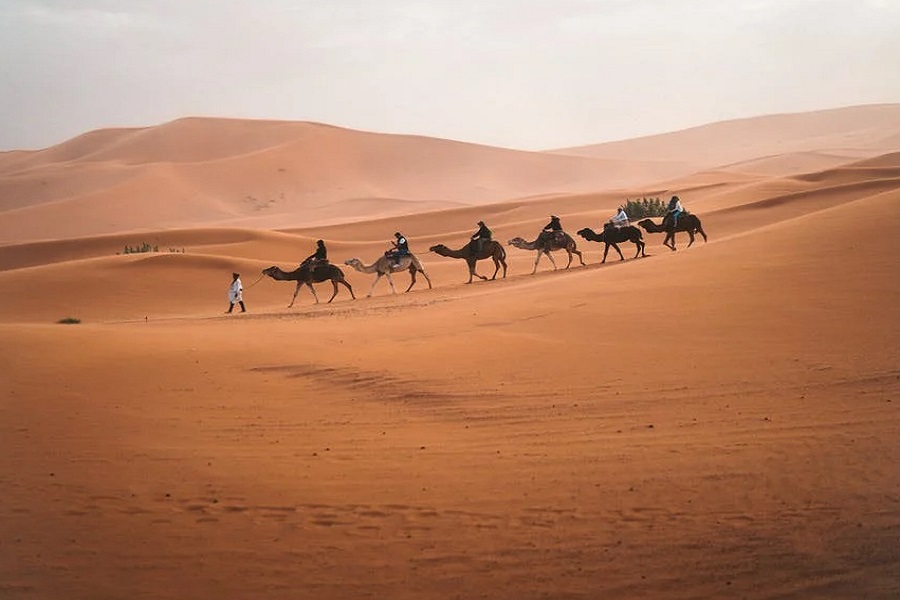 morocco tours